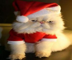 Rompicapo di Gattino vestito da Babbo Natale