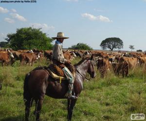 Rompicapo di Gaucho a cavallo