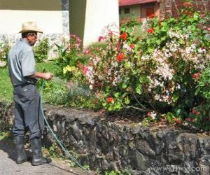 Rompicapo di Giardiniere annaffia in primavera