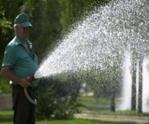 Rompicapo di Giardiniere tendente piante, con l'acquolina