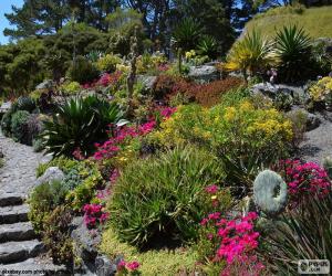 Rompicapo di Giardino botanico