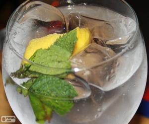 Rompicapo di Gin tonic