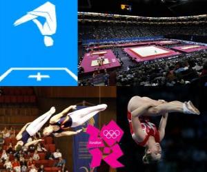 Rompicapo di Ginnastica Trampolino elastico - Londra 2012 -