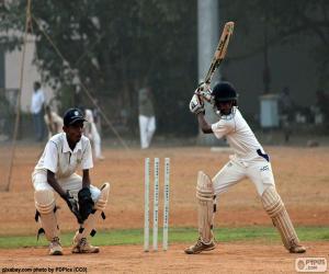 Rompicapo di Giocatori di cricket