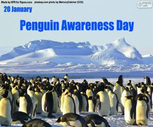 Rompicapo di Giornata di sensibilizzazione dei pinguini