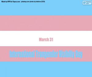 Rompicapo di Giornata internazionale della visibilità transgender