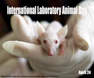 Rompicapo di Giornata internazionale degli animali da laboratorio