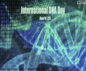 Rompicapo di Giornata internazionale del DNA