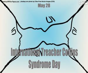 Rompicapo di Giornata internazionale della sindrome di Collins