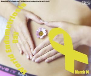 Rompicapo di Giornata mondiale dell'endometriosi