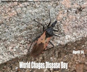 Rompicapo di Giornata mondiale della malattia di Chagas