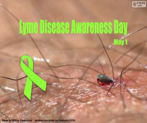 Rompicapo di Giornata mondiale della malattia di Lyme