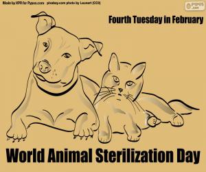 Rompicapo di Giornata mondiale della sterilizzazione animale