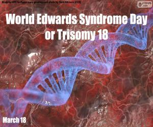 Rompicapo di Giornata mondiale della sindrome di Edwards o trisomia 18