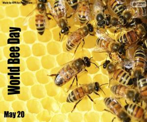 Rompicapo di Giornata mondiale delle ape