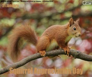 Rompicapo di Giornata mondiale dello scoiattolo