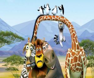 Rompicapo di Gloria l'ippopotamo, Melman la giraffa, Alex il leone, Marty la zebra con gli altri protagonisti delle avventure