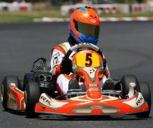 Rompicapo di Go-kart