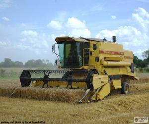 Rompicapo di Grano  mietitrebbia