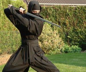 Rompicapo di Guerriero ninja e la lotta con la katana