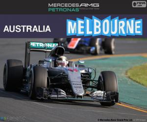 Rompicapo di Hamilton G.P Australia 2016