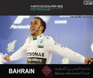 Rompicapo di Hamilton GP Bahrain 2015