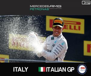 Rompicapo di Hamilton, GP d'Italia 2015