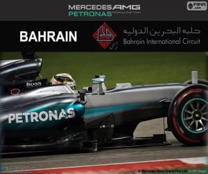 Rompicapo di Hamilton GP del Bahrain 2016