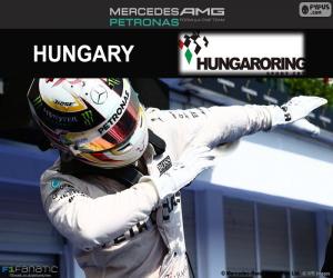 Rompicapo di Hamilton GP Ungheria 2016