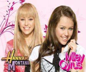 Rompicapo di Hannah Montana / Miley Stewart