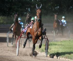 Rompicapo di Harness Racing