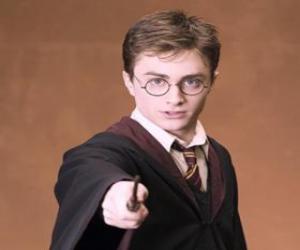 Rompicapo di Harry Potter con la sua bacchetta magica