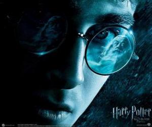 Rompicapo di Harry Potter e il principe mezzosangue