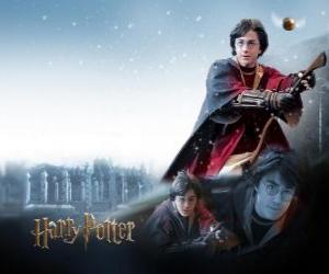 Rompicapo di Harry Potter giocando Quidditch con la sua scopa magica, come un cacciatore cerca di prendere la palla