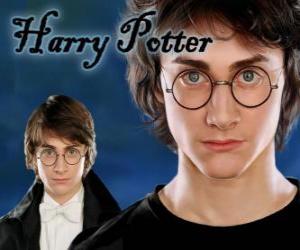 Rompicapo di Harry Potter