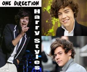 Rompicapo di Harry Styles, One Direction