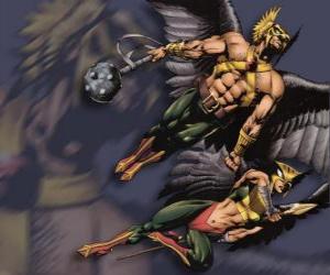 Rompicapo di Hawkman e Hawkgirl