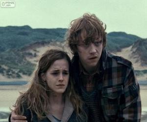 Rompicapo di Hermione Granger e Ron Weasle