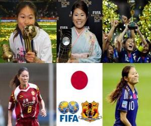 Rompicapo di Homare Sawa, giocatore della Coppa del Mondo Anno 2011