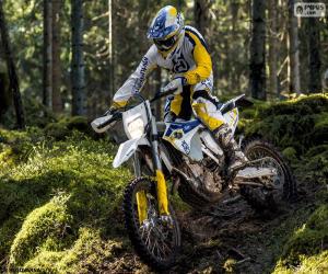 Rompicapo di Husqvarna FE 501 2015