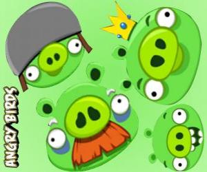 Rompicapo di I maiali da Angry Birds