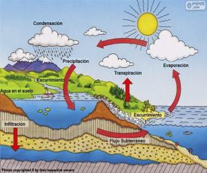 Rompicapo di Il ciclo dell'acqua (es)