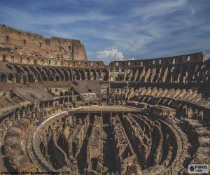 Rompicapo di Il Colosseo, interni