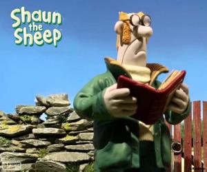 Rompicapo di Il contadino di Shaun