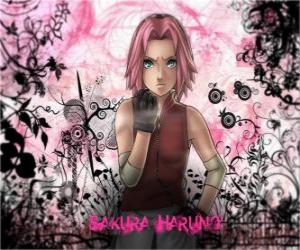 Rompicapo di Il ninja Sakura Haruno è l';unica donna del team 7 Gruppo