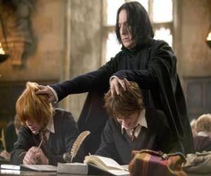 Rompicapo di Il professor Severus Piton, studiando e Harry Potter Ron Weasley