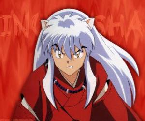 Rompicapo di Inuyasha è il protagonista delle avventure. Si tratta di un mezzo demone, nato da padre demone cane e di una madre umana