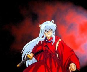 Rompicapo di Inuyasha, un mezza demone dal Giappone feudale, dove vive emozionanti avventure