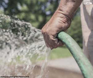 Rompicapo di Irrigazione con tubo flessibile