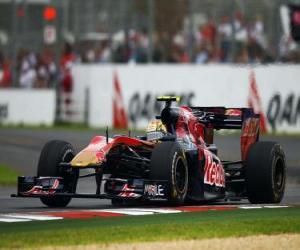 Rompicapo di Jaime Alguersuari - Toro Rosso - Melbourne 2010